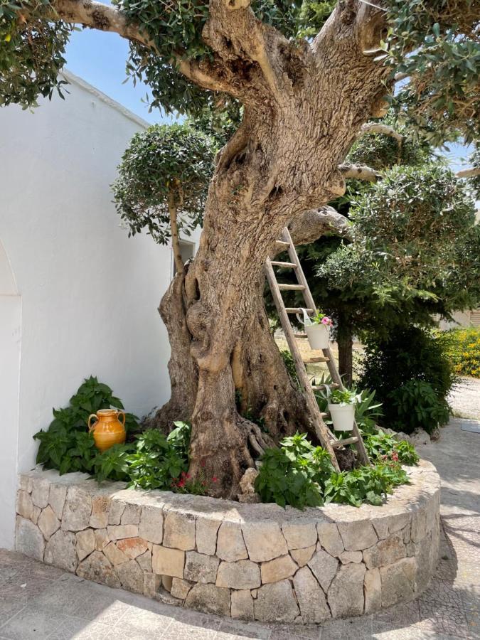 Villa Il Trullo Di Nonno Licchio Alberobello Exterior foto