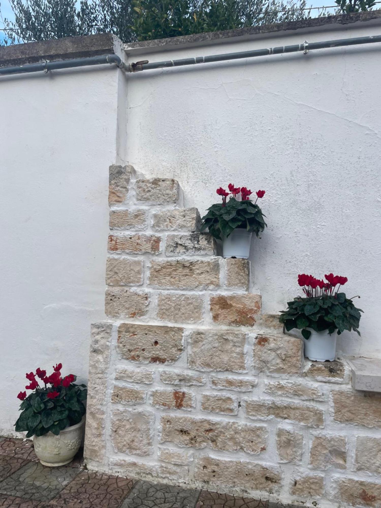 Villa Il Trullo Di Nonno Licchio Alberobello Exterior foto